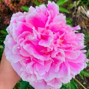 Meet your Posher, Mary claire